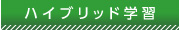 hybrid_button.jpg
