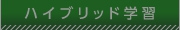 hybrid_button.jpg