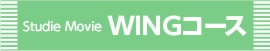 course_s-WING_L2.jpg